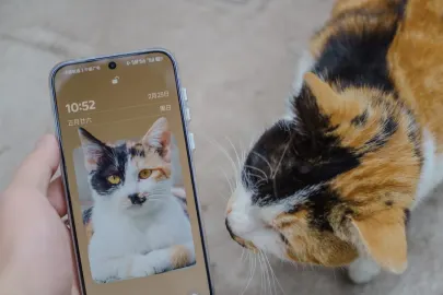 Vesper Casino Mobilapp